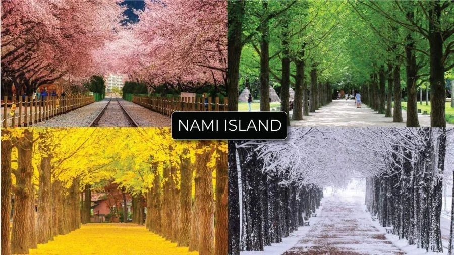 Mỗi mùa, mỗi thời điểm, Nami lại khoác lên mình một vẻ đẹp rạng rỡ khác nhau