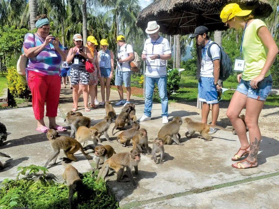 Du khách nước ngoài tại Đảo Khỉ