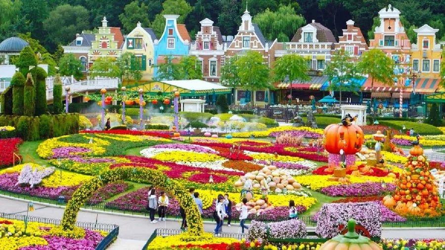 Tổng hợp các tour du lịch Hàn Quốc 5N4Đ Top Ten Travel