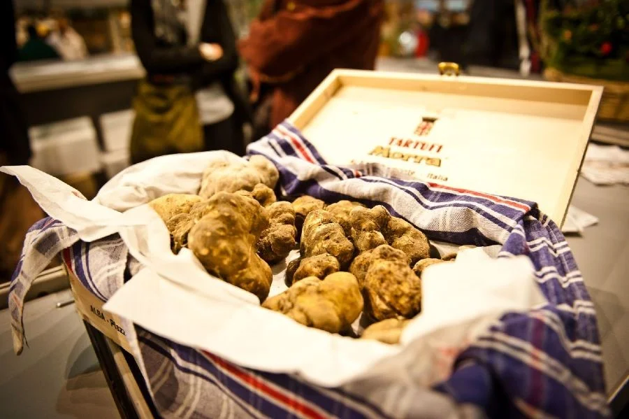 Lễ hội nấm Truffle trắng ở Alba