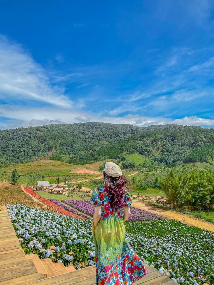 Vườn hoa có diện tích hàng nghìn mét vuông với nhiều loài hoa khác nhau