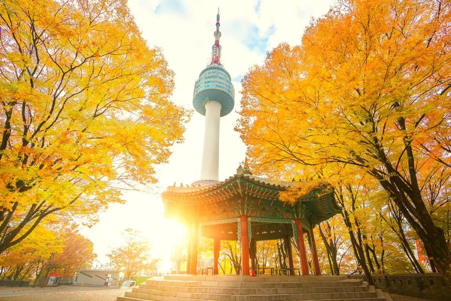 Núi Nam San một trong những nơi tuyệt đẹp để ngắm lá vàng mùa thu