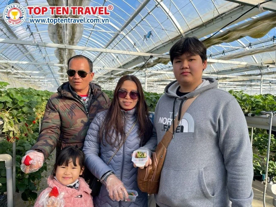 Tổng hợp tour du lịch Nhật Bản giá rẻ Top Ten Travel
