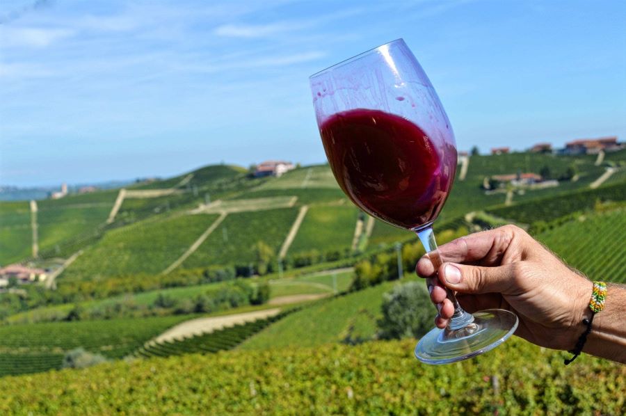 Các lễ hội rượu vang được tổ chức tại Piedmont hàng năm thu hút đông đảo du khách tham gia