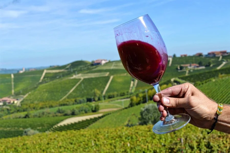 Các lễ hội rượu vang được tổ chức tại Piedmont hàng năm thu hút đông đảo du khách tham gia