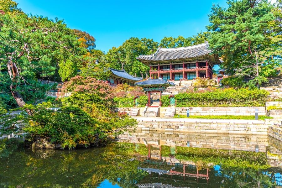 Điểm nhấn đặc biệt của cung điện Changdeokgung chính là Hậu hoa viên