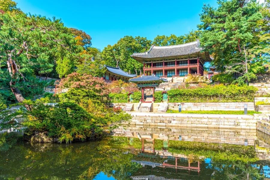 Điểm nhấn đặc biệt của cung điện Changdeokgung chính là Hậu hoa viên