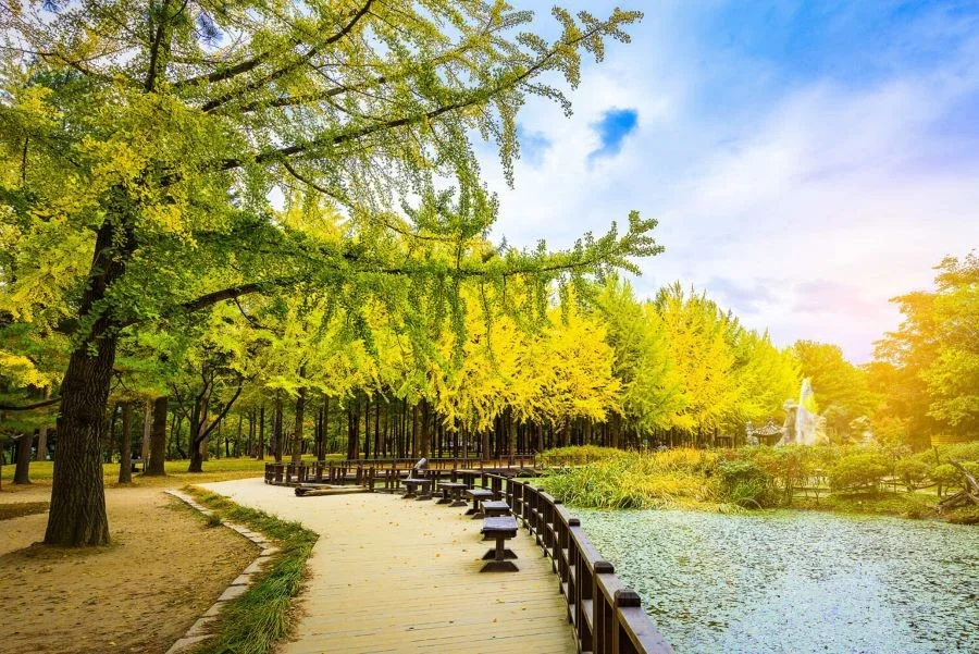 Đảo Nami - hòn đảo hình bán nguyệt lãng mạn