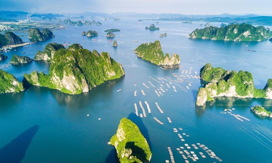 Không gian bao la, xanh ngát tại Vịnh Hạ Long