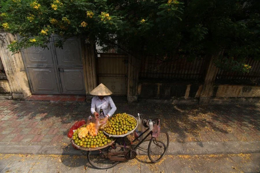 Những gánh hàng rong êm đềm tại Hà Nội