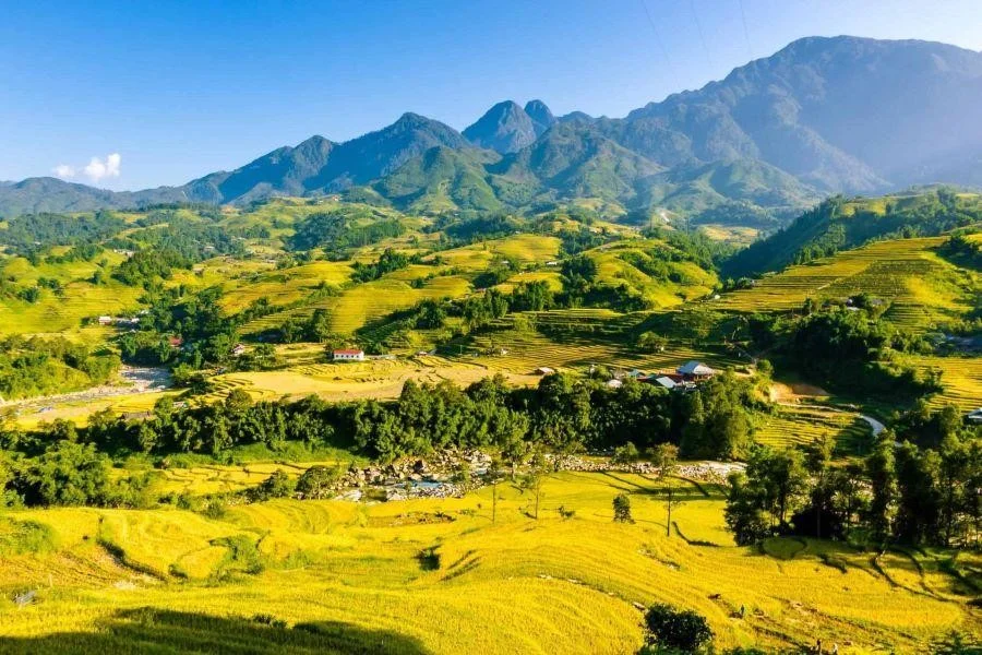 Những triền đồi rộng lớn tại Sapa