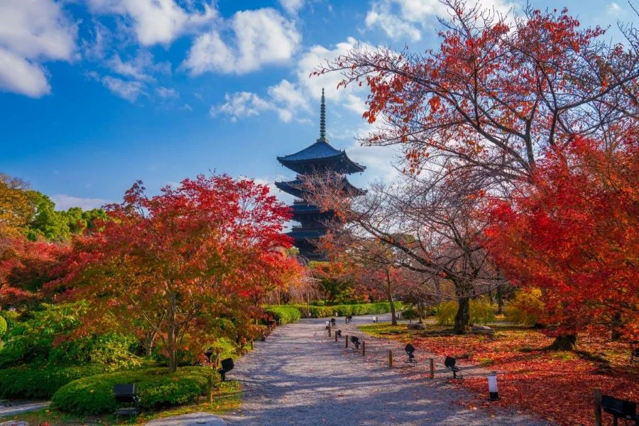 Chùa Toji – ngôi chùa mang đậm tính lịch sử tại Tokyo