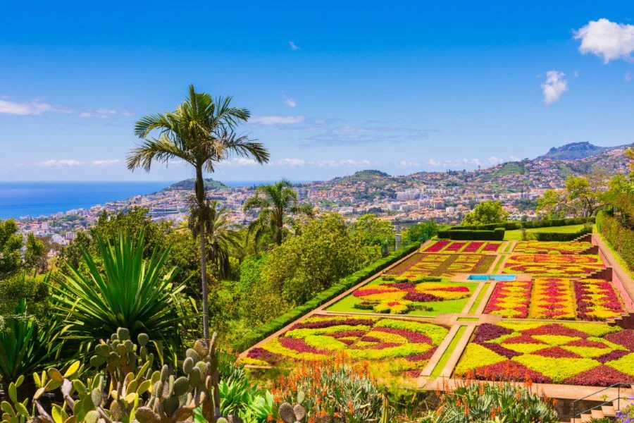 Đảo Madeira Bồ Đào Nha rực rỡ sắc hoa vào mùa xuân
