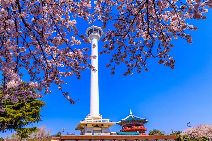 Tháp Busan - tọa độ check-in không thể bỏ qua của nhiều tín đồ “sống ảo” khi đặt chân đến Busan