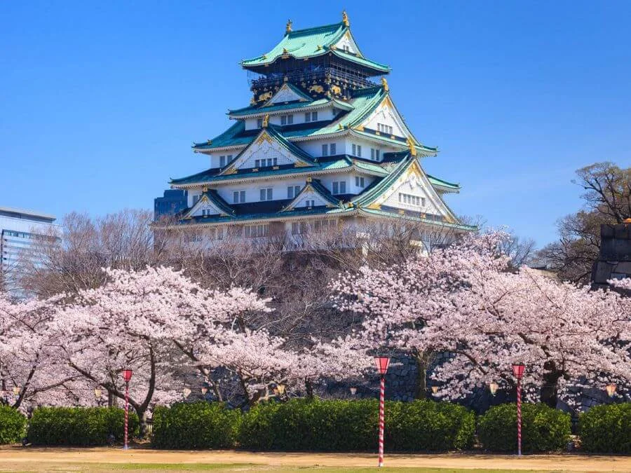 Lâu đài Osaka khoác lên mình chiếc áo hồng rực rỡ mỗi độ xuân về, thu hút đông đảo du khách từ khắp nơi trên thế giới
