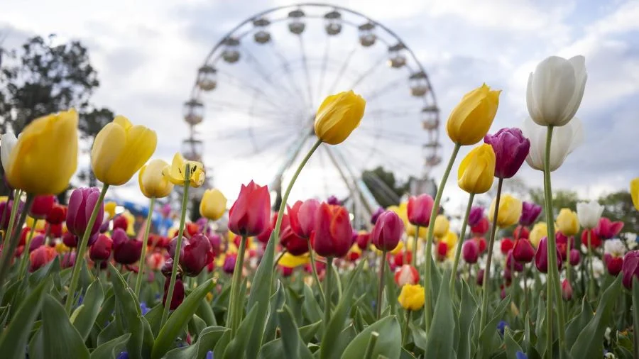 Floriade Flower Festival tại Canberra