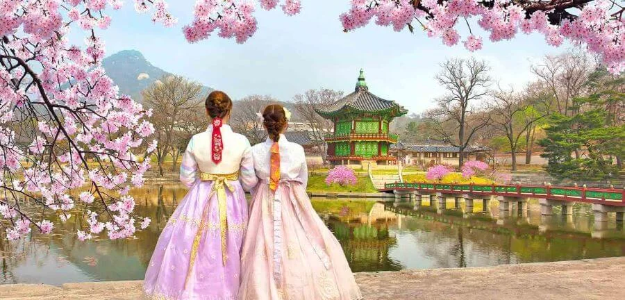 Mặc Hanbok và check-in cùng hoa anh đào là một trải nghiệm thú vị khi đi du lịch Hàn Quốc vào mùa xuân