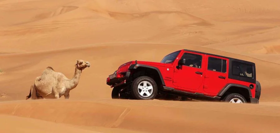 Lái xe Jeep “tốc độ” trên cát hứa hẹn mang đến cho bạn những trải nghiệm tuyệt vời