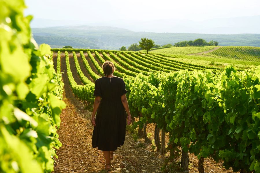 Provence còn được biết đến là một trong những vùng sản xuất rượu vang lâu đời nhất tại Pháp