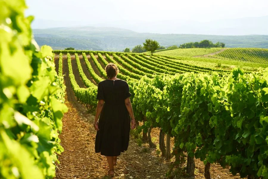 Provence còn được biết đến là một trong những vùng sản xuất rượu vang lâu đời nhất tại Pháp 