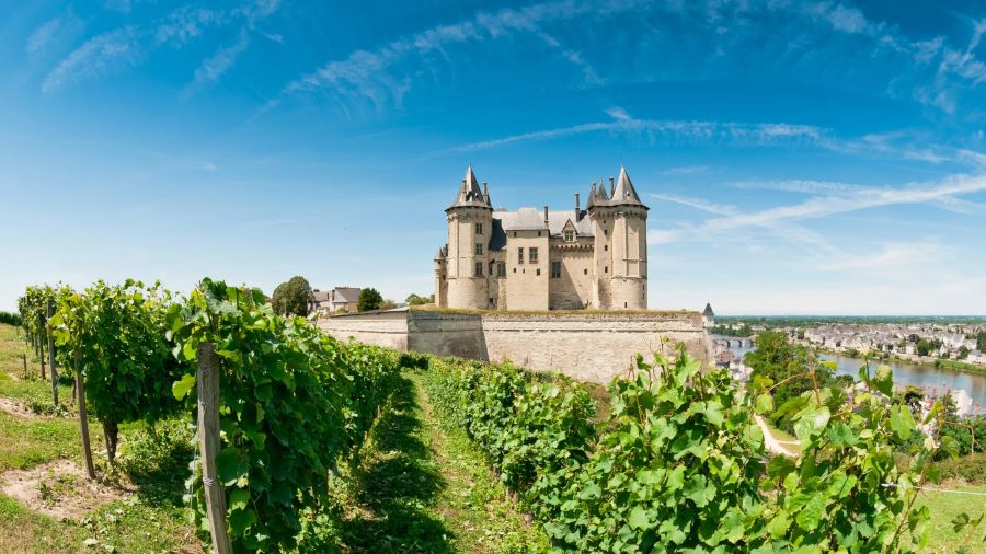Đặt chân đến Loire, du khách sẽ được chiêm ngưỡng những vườn nho Pháp rộng lớn, tươi tốt trĩu quả quanh năm