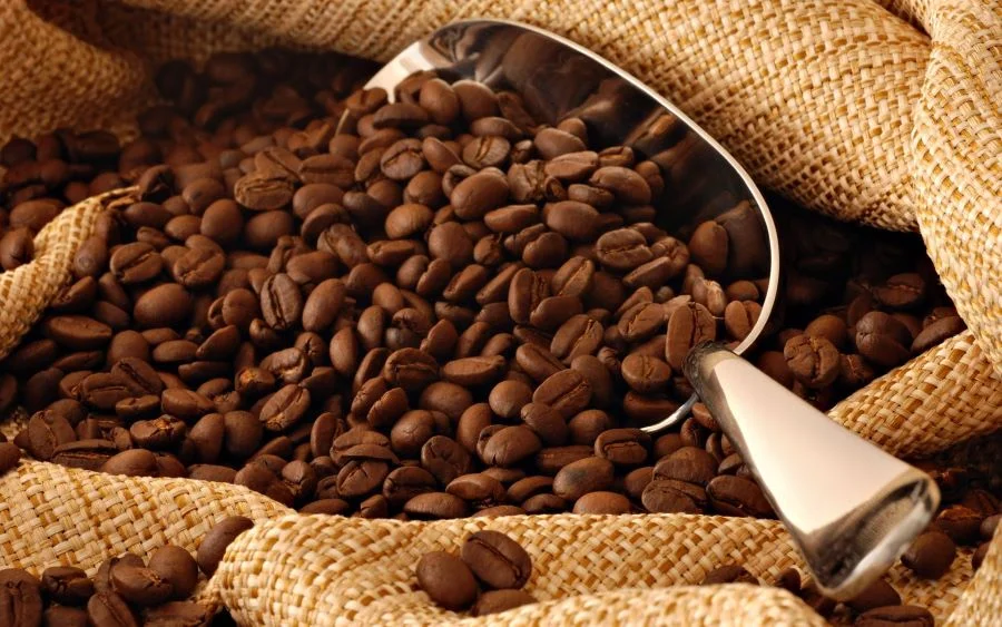 Cà phê Kopi Luwak - một trong những đặc sản Bali làm quà tặng độc đáo nhất