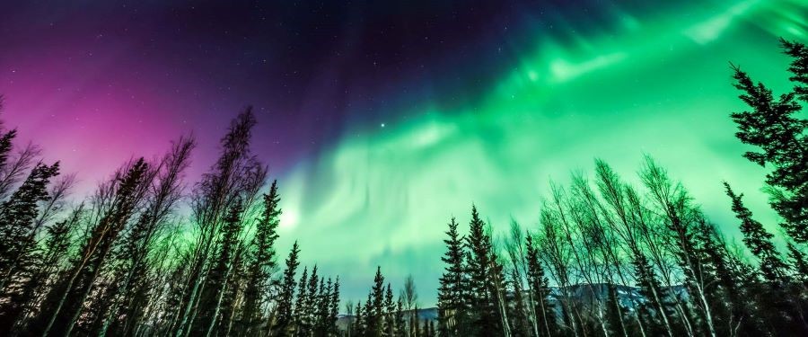 Yellowknife - một trong những địa điểm du lịch nổi tiếng nhất để “săn” cực quang