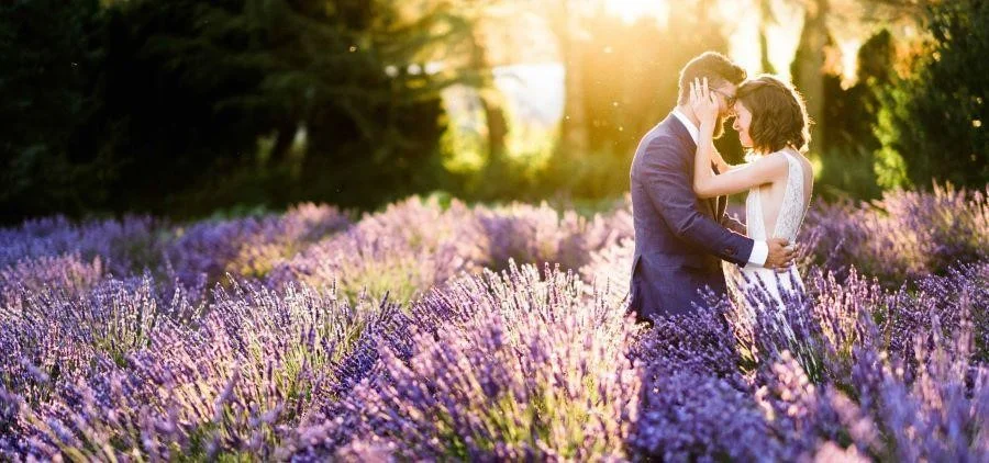 Chụp ảnh cưới với hoa oải hương tượng trung cho một tình yêu son sắt, bền vững