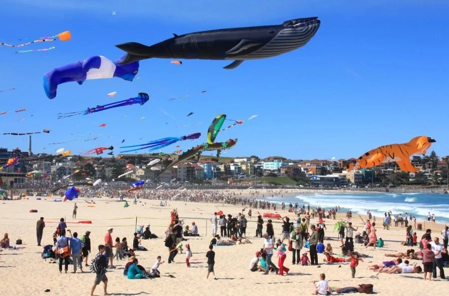 Lễ hội Bondi Beach Festival - điểm đến không thể bỏ qua vào mùa hè