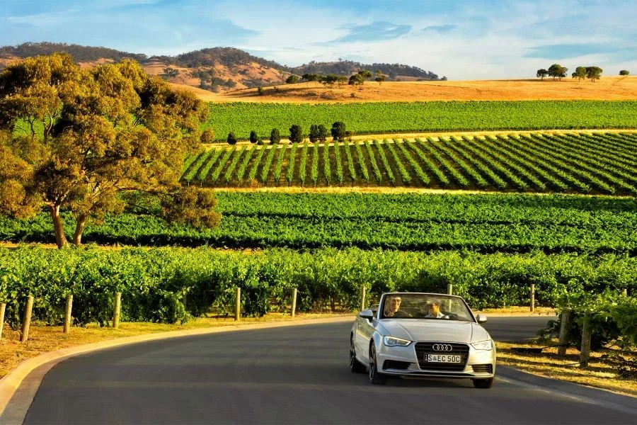 Thung lũng Barossa - điểm dừng chân lý tưởng dành cho những ai yêu thích rượu vang