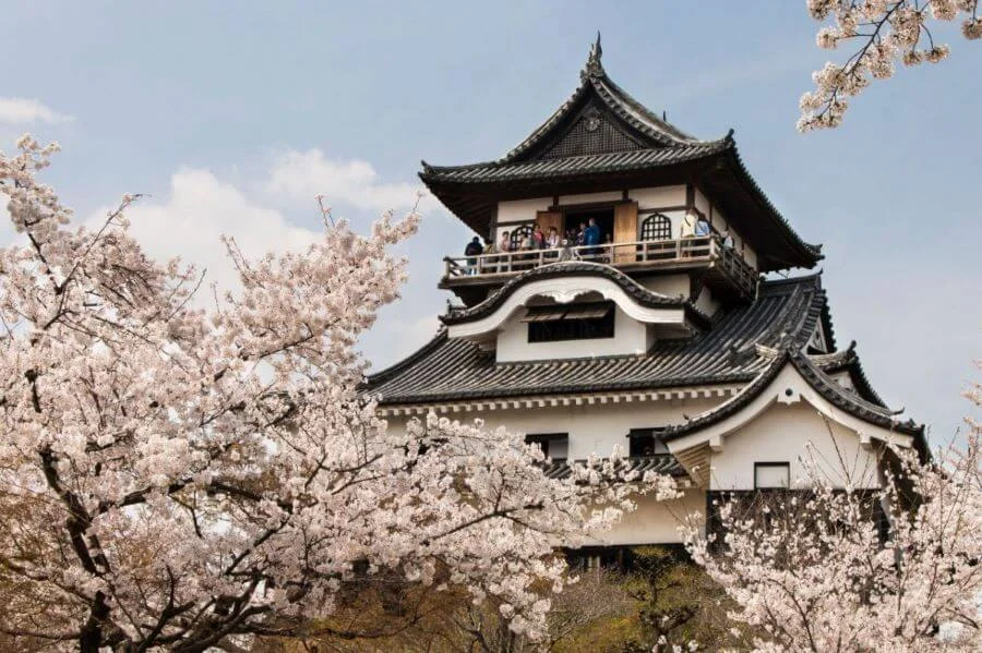 Lâu đài Inuyama là điểm ngắm hoa anh đào tuyệt đẹp mà bạn không thể bỏ qua tại Nagoya xinh đẹp