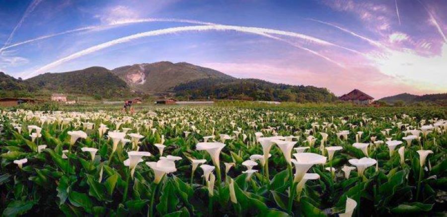 Tour du lịch Đài Loan Top Ten Travel