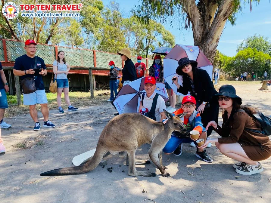 Tour Du lịch Úc Mono Sydney Bay Thẳng tại Top ten Travel