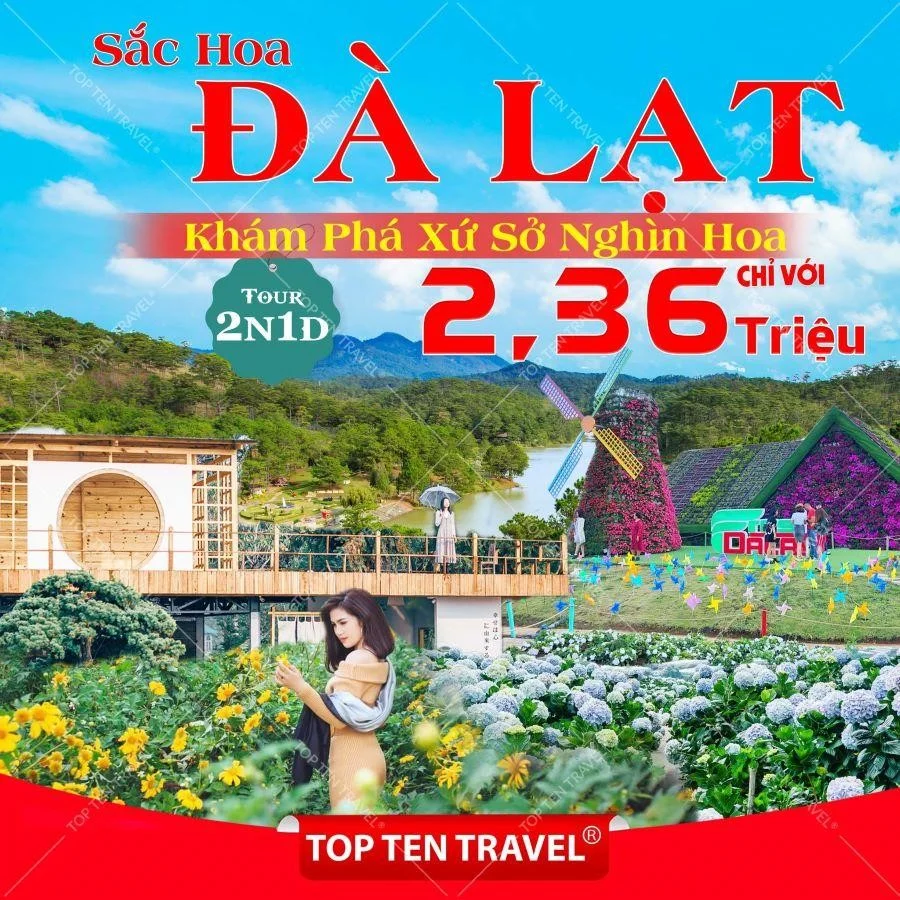 Du lịch trong nước khuyến mãi tại Top ten Travel