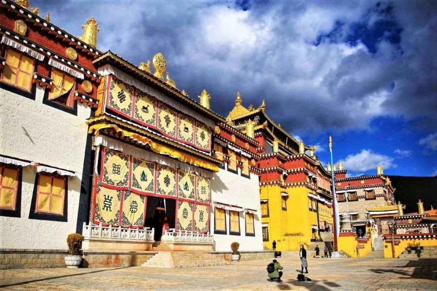 Sức hấp dẫn của Tùng Tán Lâm