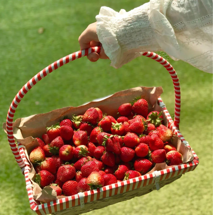 Cloudberry, một trang trại dâu tây hữu cơ nổi tiếng dành cho những ai muốn trải nghiệm hái dâu tây độc đáo tại Hàn Quốc