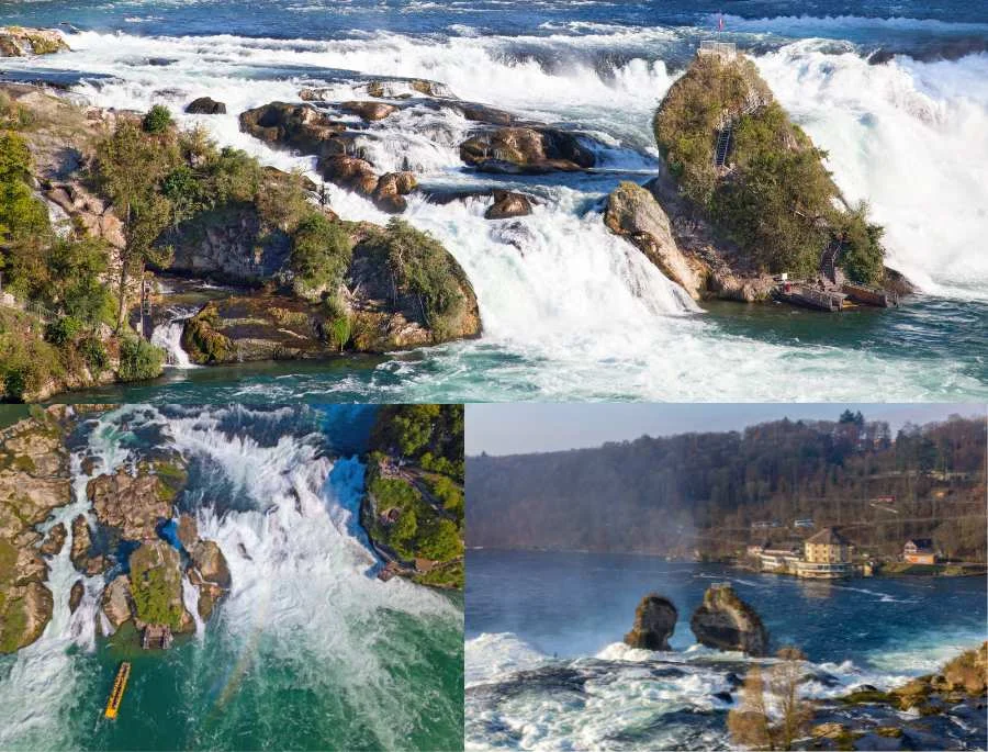 Thác Rhine được bảo tồn vô cùng nghiêm ngặt để tạo ra môi trường sống tự nhiên cho các loài động vật