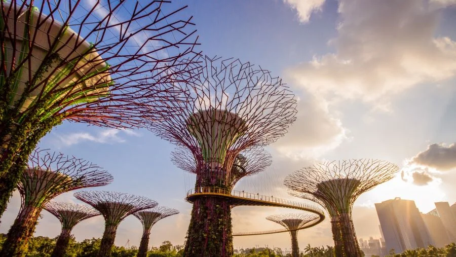 Dù có diện tích khiêm tốn nhưng Singapore có mức độ phát triển gần như là đứng hàng đầu châu lục
