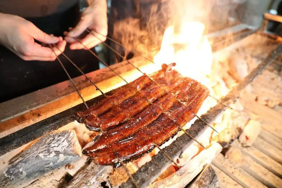 Thành phần chính và không thể thiếu của món Kabayaki chính là Unagi