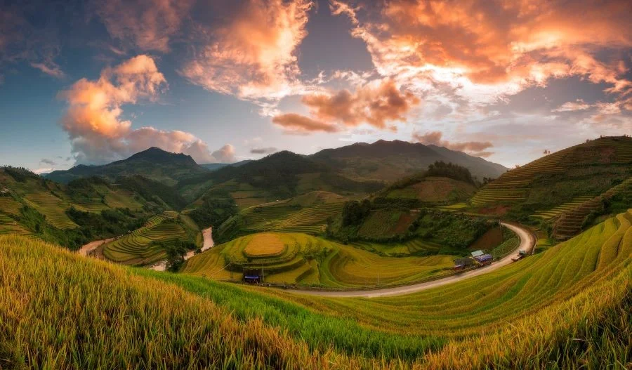 Cả đất trời ngập tràn trong sắc vàng rực rỡ mỗi khi Mù Cang Chải vào mùa lúa chín