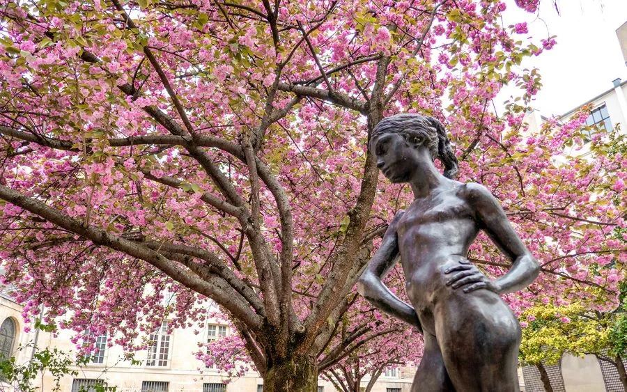 Khám phá khu vườn điêu khắc của Musée Rodin