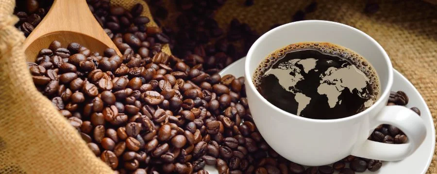 Cafe không chỉ là thói quen mà còn là nét đẹp văn hoá của người dân Paris
