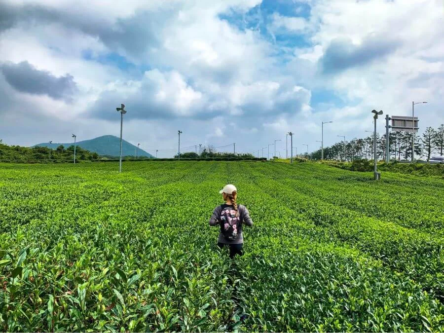Với khung cảnh thiên nhiên tuyệt đẹp và những góc chụp độc đáo, O'Sulloc hứa hẹn sẽ mang đến cho bạn những bức ảnh "triệu like"
