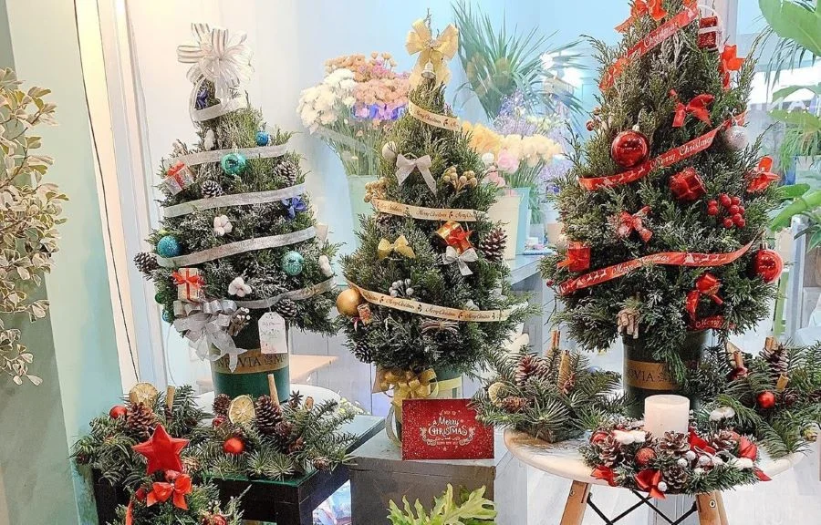 Có rất nhiều mẫu cây giáng sinh để mọi người lựa chọn