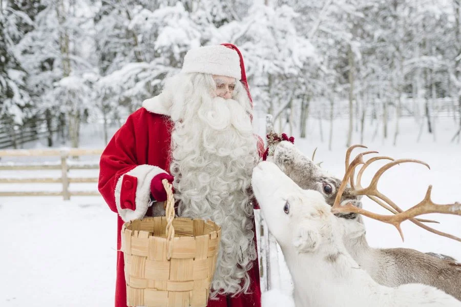 Ông già Noel bên cạnh những chú tuần lộc của mình