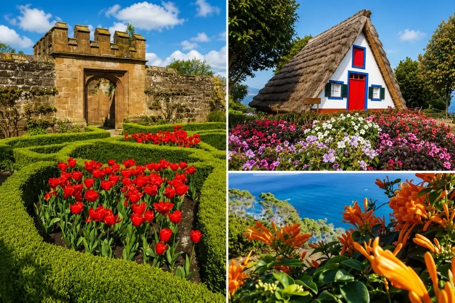 Thành phố Funchal được trang hoàng lộng lẫy với hàng nghìn loài hoa trong mùa Festa da Flor