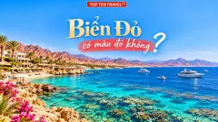 Biển Đỏ có màu đỏ không? Khám phá những thông tin siêu thú vị