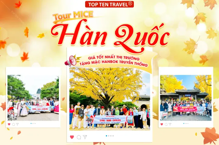 Tour Mice Hàn Quốc
