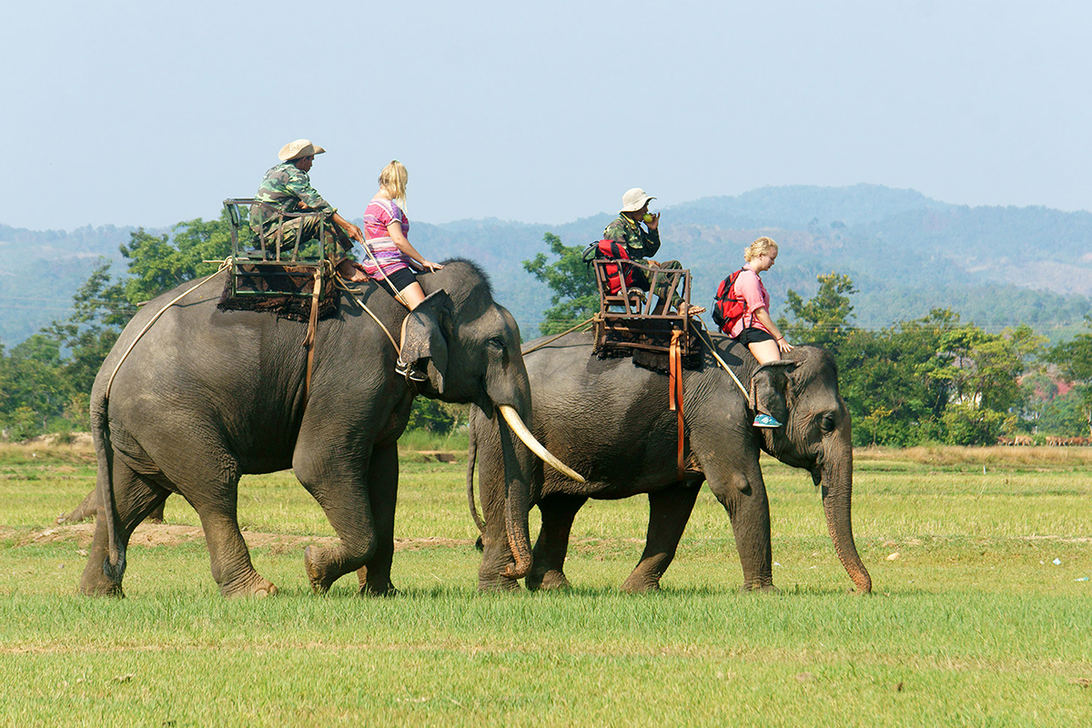 Tour du lịch Buôn Ma Thuột (2 ngày 1 đêm)