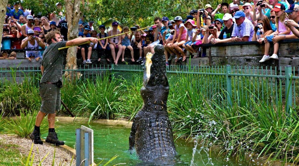 Công Viên Australian Reptile